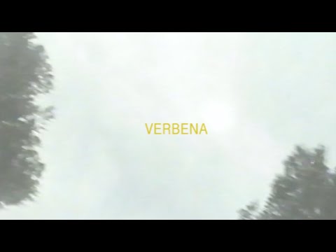 NIQO HGC // VERBENA