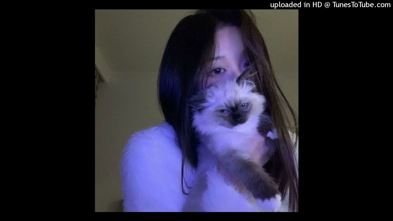 *Free* 22 December x shady moon x lilbubblegum Type beat "Halcon age" Prod. user