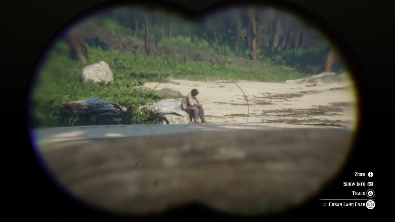 D Arthur observing a resident (aka Cuban Land Crab) in Guarma RDR2