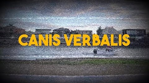 Dochi Sadega - Canis Verbalis
