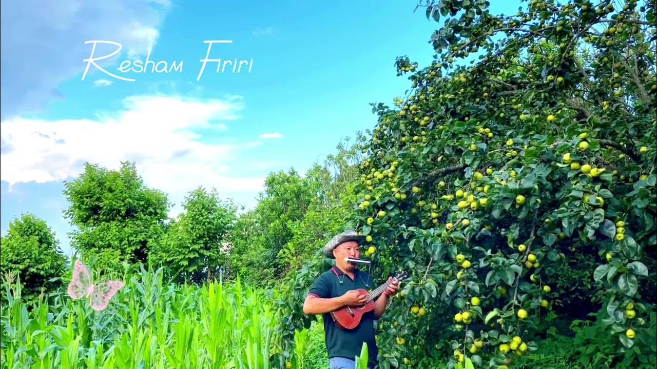 Resham Firiri One Man Band Instrumental Music Nepali Popular Songs resham-firiri-one-man-band-instrumental-music-nepali-popular-songs