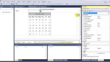 C# .NET Date Control