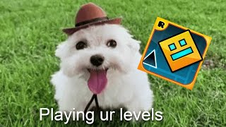 playing your levels :D / Level Request Geometry Dash