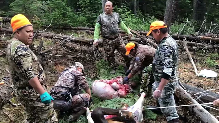 Oregon Hmong rifle elk hunting 2021