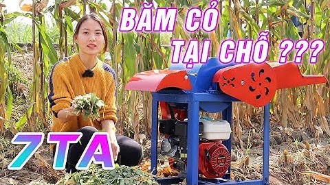 Máy Băm Cỏ 7TA Đầu Nổ Máy Băm Cỏ, Băm Thân Cây Ngô Ở Mọi Nơi ???