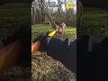 Police Officer Rescues Trapped Deer