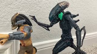 Predator vs aliens!!!