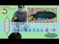 #96 筏仔集郵好去處 同場加映俊男美女 爽呀『香港釣魚 : 岸釣』數碼港 {粵語旁白+中英文字幕}