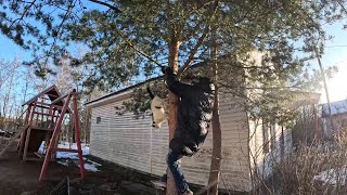 видео: Солома теперь один. Беленькая к чаю, Особенности кормления, Отлаженная схема, Алкотребование, Иваха' картинка: Солома теперь один. Беленькая к чаю, Особенности кормления, Отлаженная схема, Алкотребование, Иваха'