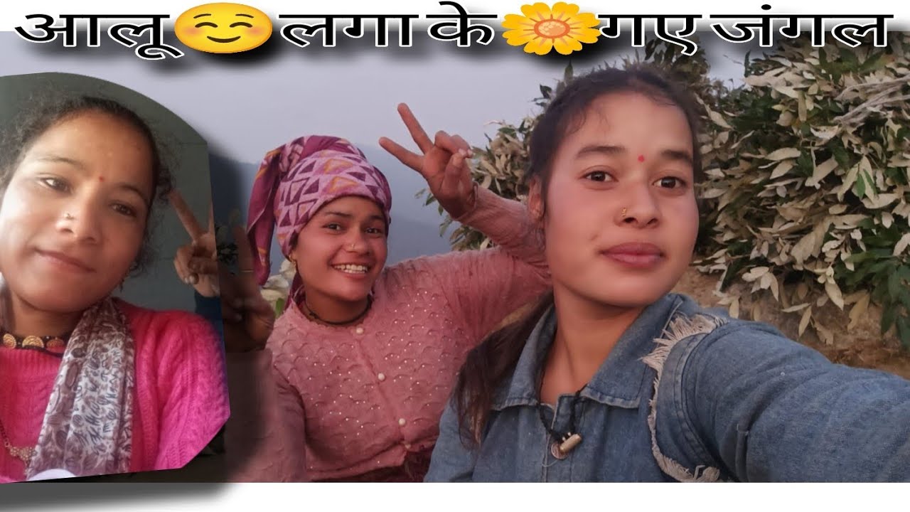 आलू लगा के गए हम जंगल बांज लेने#phadilifestyle vlog 