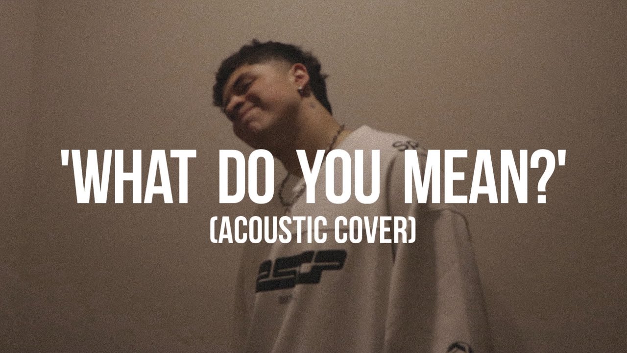 Messed - What Do You Mean ? (Acoustic Version Cover)
