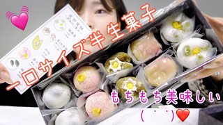 大口屋さんの武功夜話がミニチュア半生菓子の詰め合わせで可愛い。しかも美味しいってゆう♡【武功夜話】【大口屋】