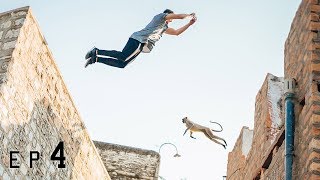 WE DID IT! Roof jumps with monkeys 🇮🇳