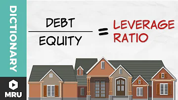 What are the main leverage ratios?