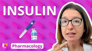 Insulin - Pharmacology - Endocrine System 