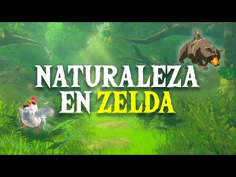 Análisis de la NATURALEZA en la saga de Zelda 🍃 Antropocentrismo y Filosofía