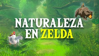 Análisis de la NATURALEZA en la saga de Zelda  Antropocentrismo y Filosofía