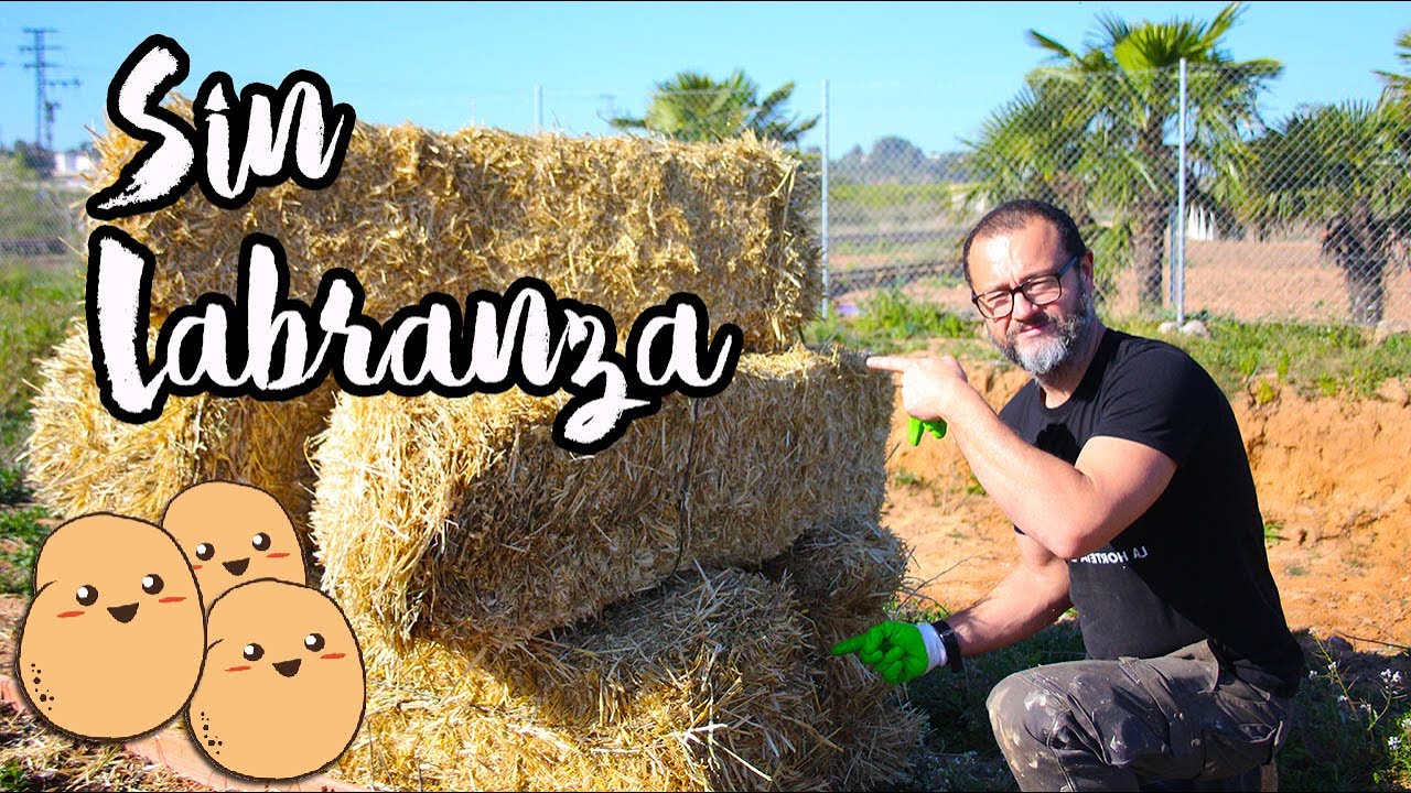 PATATA Sin Labranza Como PLANTAR y ASOCIACIONES BENEFICIOSAS (EP-03 Biodiversidad) // Papueves
