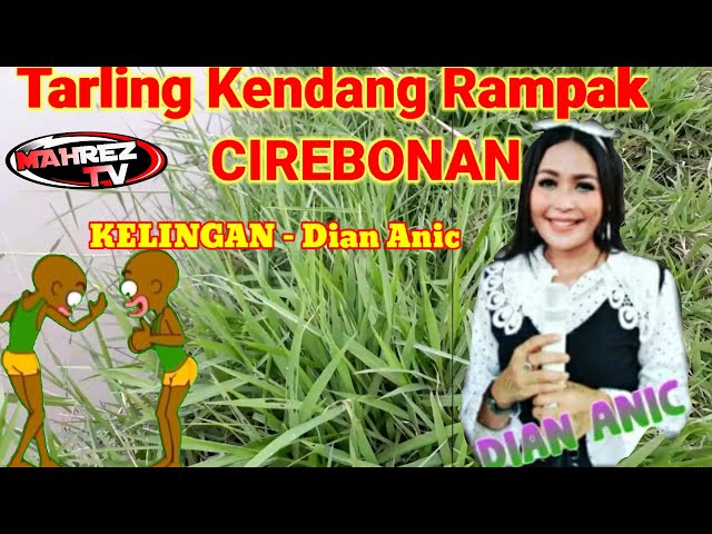 tarling kendang rampak || Dian Anic_kelingan || Tarling cirebonan terbaru 2021-2022 class=