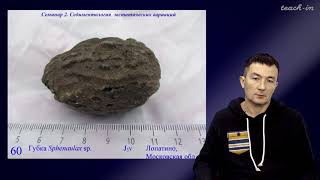 Габдуллин Р.Р. - Секвентная  стратиграфия. Семинары - 9. Седиментология эвстатических вариаций