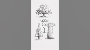 How To Draw A Tree 🌲 #art #drawing #foryou