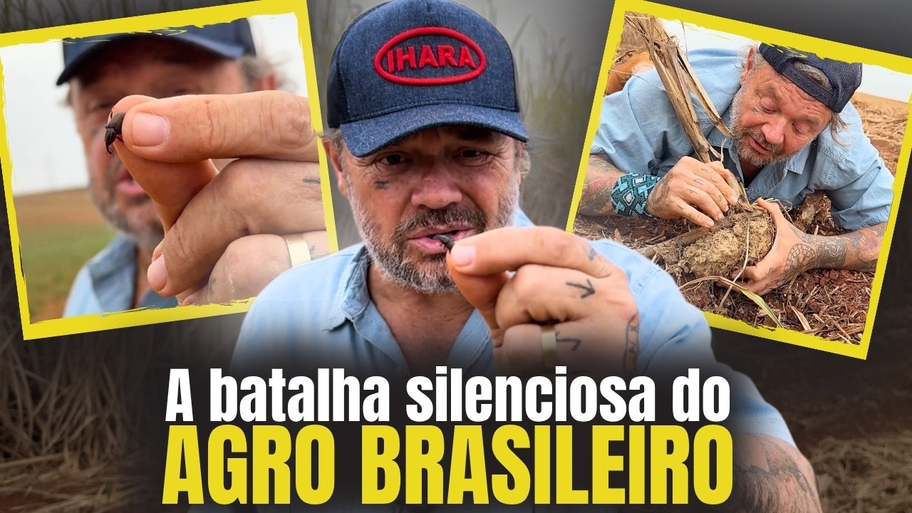 🪲 O MONSTRO QUE DESTRÓI A CANA-DE-AÇÚCAR! Conheça o inimigo invisível do agro brasileiro 😱