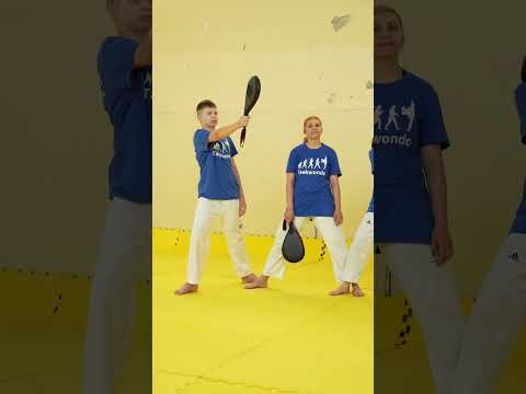 10 вертушек #тхэквондо #taekwondo #sports