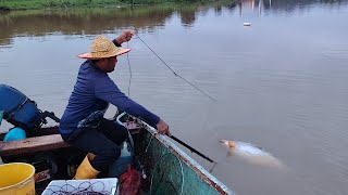 Download Lagu Seerkor Ikan GERGASI timbul makan rawai👍 MP3