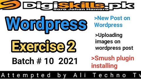 Digiskills Wordpress Exercise 2 Batch 10 | WordPress exercise 2 solution batch 10 2021