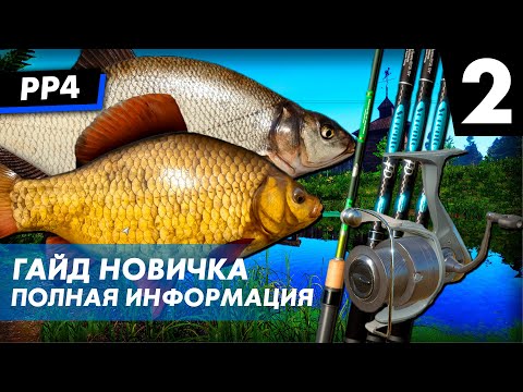 Видео: Гайд для новичков - Часть 2 Фидеры Донки Русская Рыбалка 4