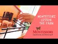 Montessori The Farm Lesson - introduction to grammar