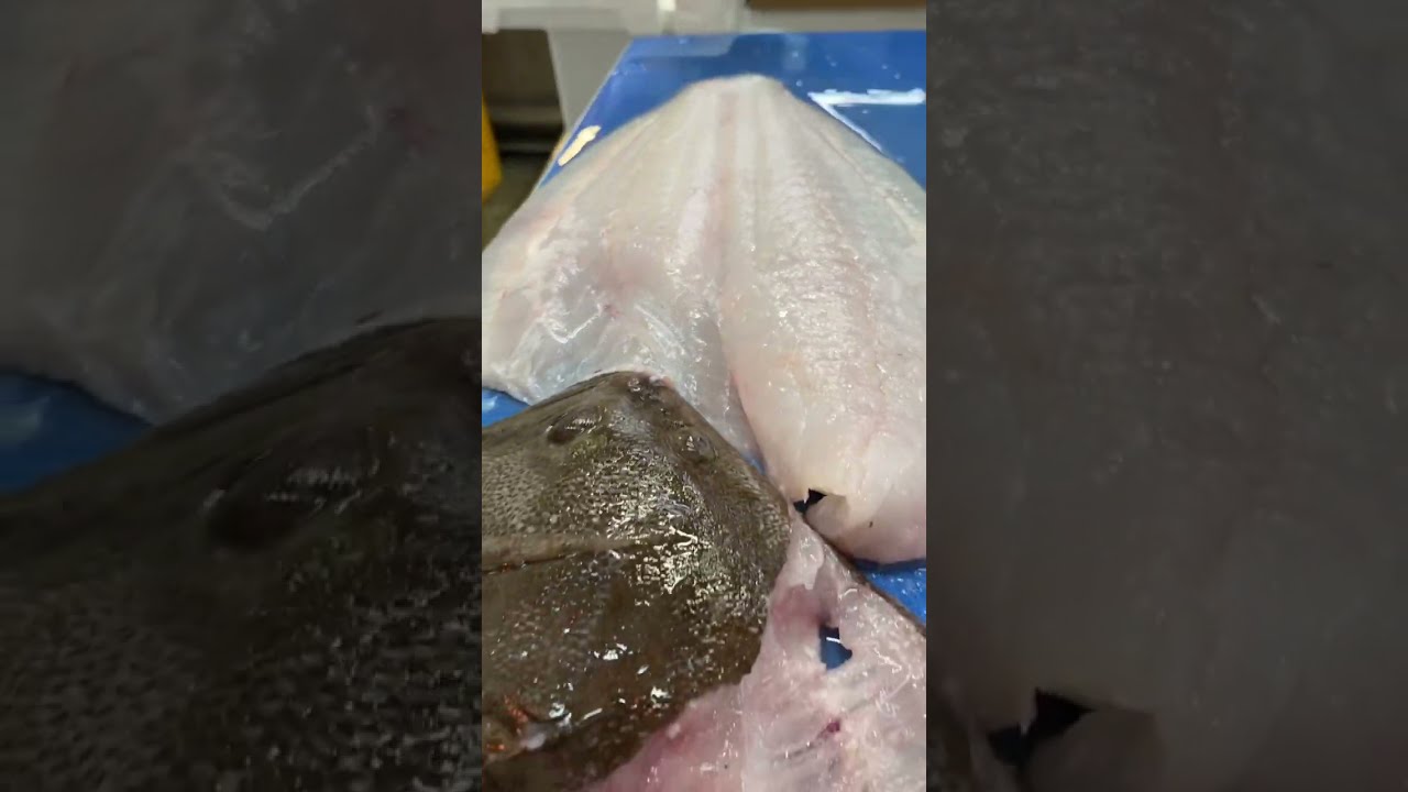 Wow How Amazing Does This Brill Look A Very Fresh And Super Tasty Fish Shorts