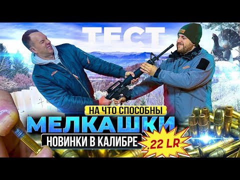 Какую МЕЛКАШКУ 22 LR купить? Как выбрать патрон 22 калибра. Обзор и тест малокалиберных винтовок.