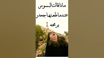 ماذا قالت البسوس عندما طعنها جحدر 2023 