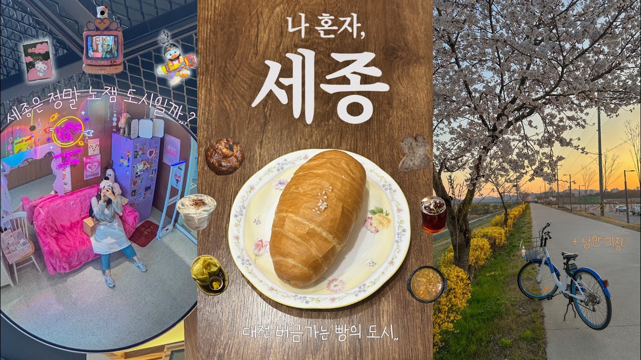 세종시 유잼 모먼트 찾아 떠난 나혼자 세종 여행.:*☆ | 세종 줄서는 맛집•빵지순례•소품샵•피크닉•자전거•야경명소까지 꽉 채운 하루🔥