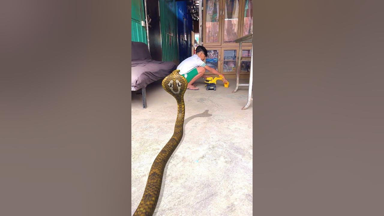 Snake Chasing My Student! #shorts - YouTube