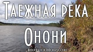 Таежная река Онони (в HD) Far East Russian Taiga Таежная река Онони (в HD) Far East Russian Taiga