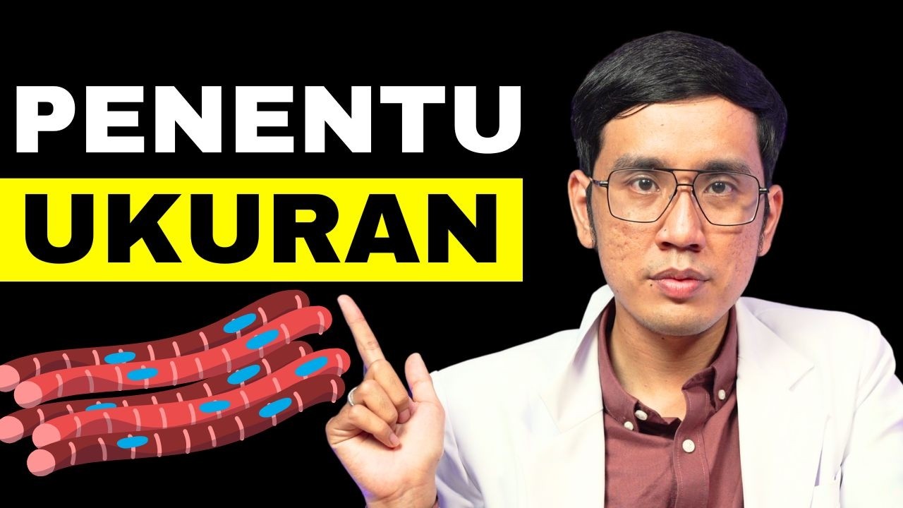 2 Jenis Penis PRIA: Kecil LINCAH & Panjang MACET