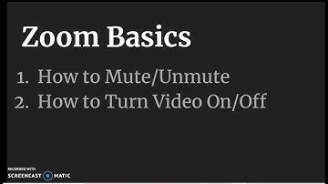How to Mute/Unmute and Turn Video On/Off on Zoom