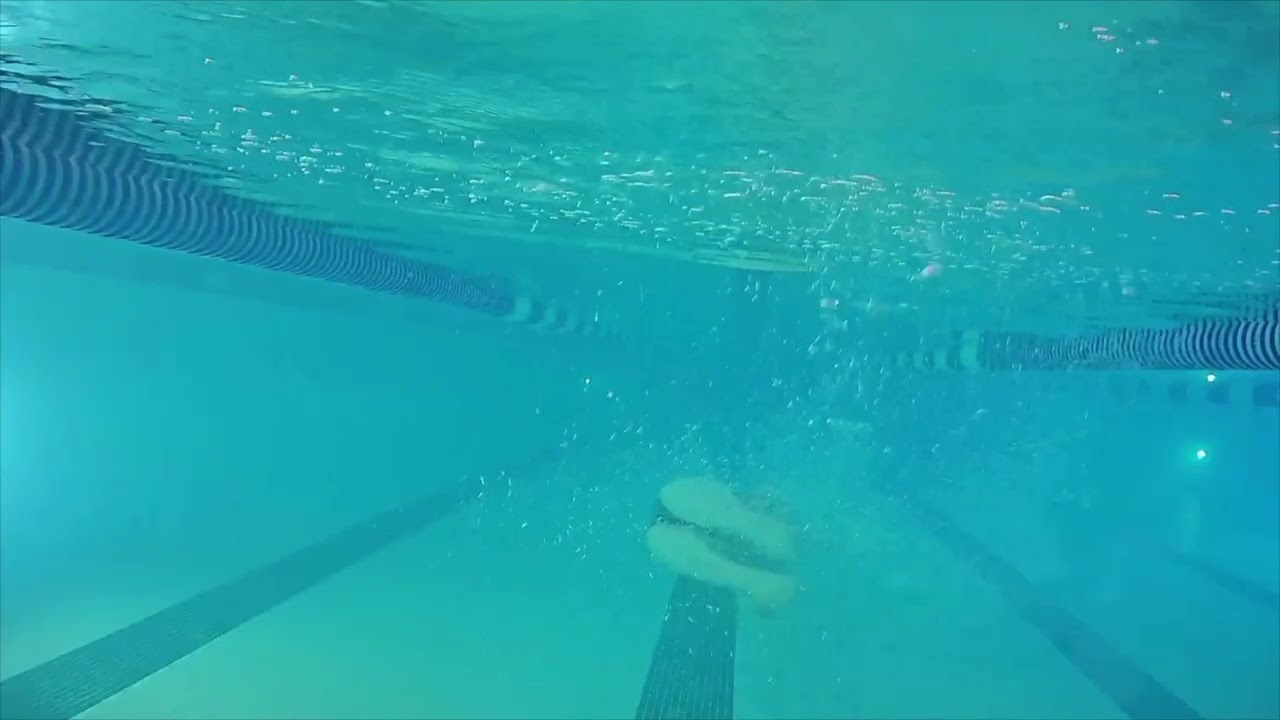 Butterfly Fish Kick Right Side Active Key Items