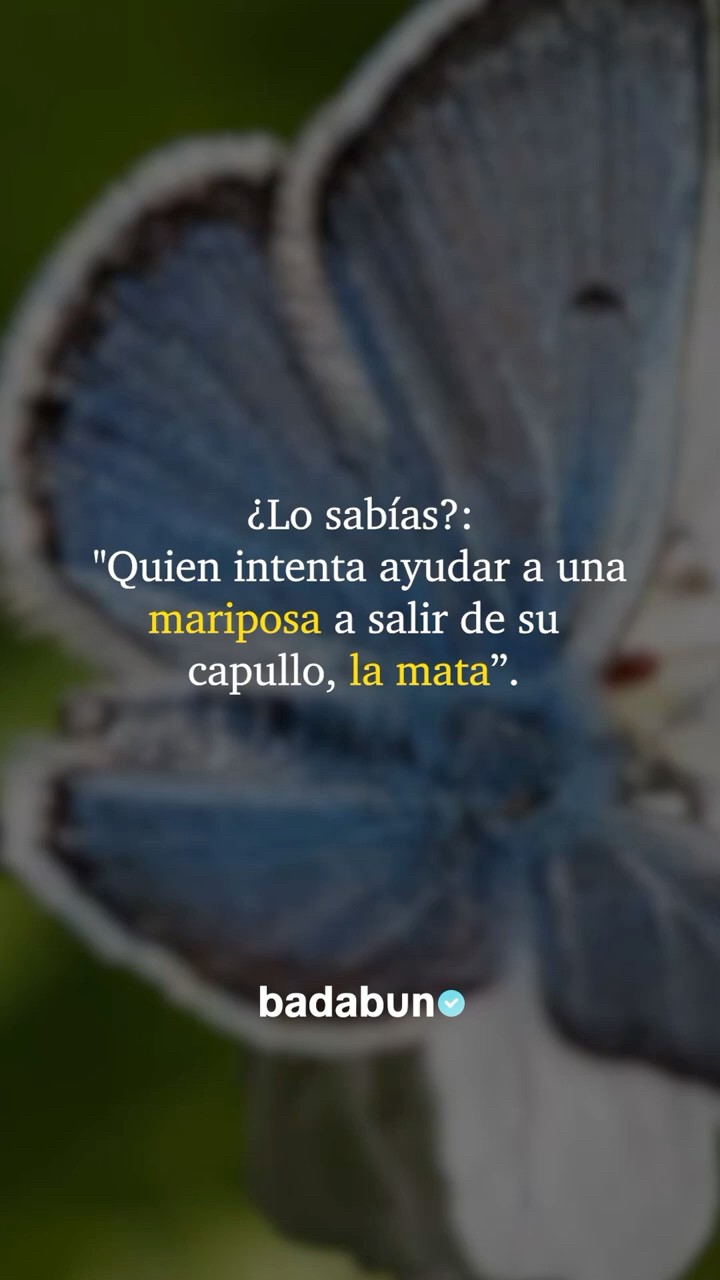 Todo a su tiempo ?