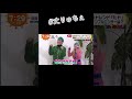 ゆたせな 丈りゅちぇ なにわ男子 ジャニーズ ゆたせな 丈りゅちぇ なにわ男子 ジャニーズ