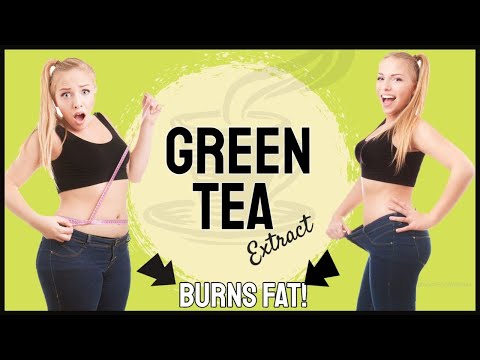 🍵Green Tea Extract Pills For Weight Loss ⚡ How and When To Take Green Tea Extract Supplements