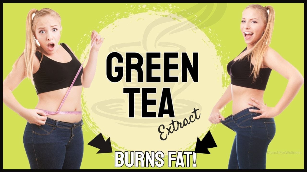 ðŸµGreen Tea Extract Pills For Weight Loss ⚡ How and When To Take Green