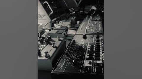 Acid Techno with my RE 303