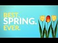 Lawn Care Business Tips for a Great Spring Season