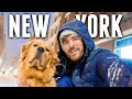 LIVING IN NEW YORK CITY: Winter in my New NYC Apartment!