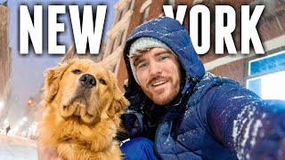 LIVING IN NEW YORK CITY: Winter in my New NYC Apartment!