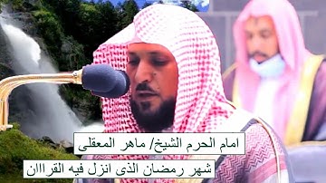 #ماهر المعيقلي -  شهر رمضان الذى انزل فيه القران بصوت خاشع من تراويح رمضان ما تيسر من سورة البقره