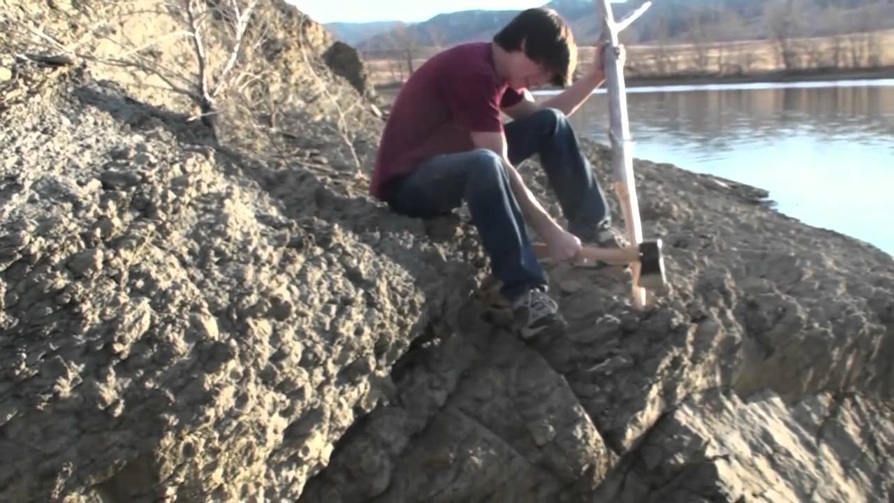 Hatchet The Movie Novel By Gary Paulsen YouTube
